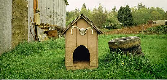 《超级肌肉猫》将登陆主机平台 发售日待定